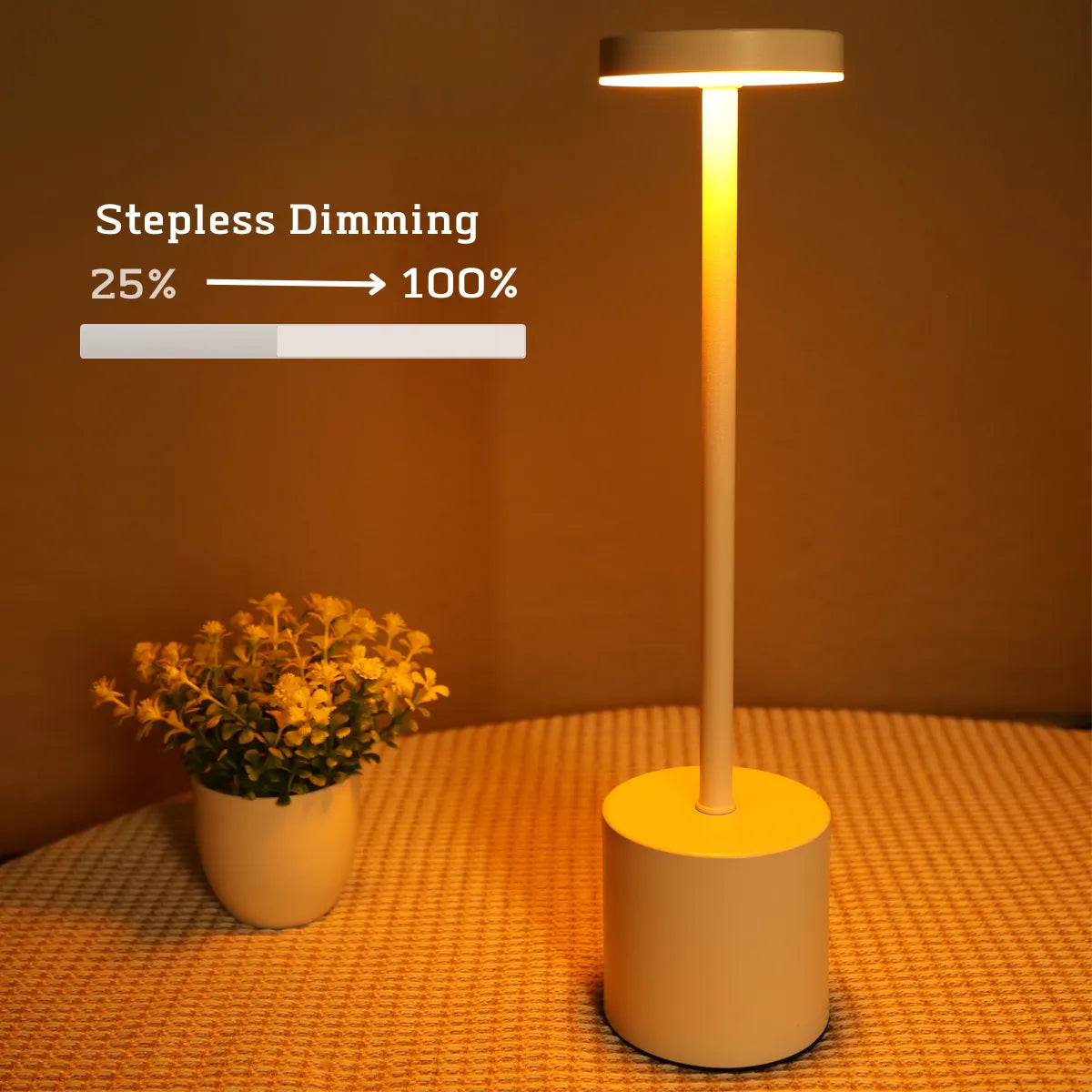 Rechargeable Metal Table Lamp